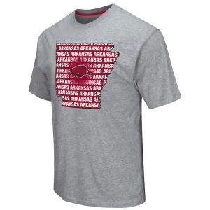 Arkansas Razorbacks Colosseum Gray State Outline Short Sleeve Cotton T-Shirt